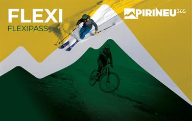 Image for: FLEXIPASS